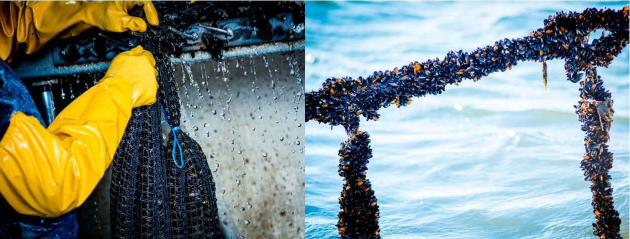 Initial scoping and planning